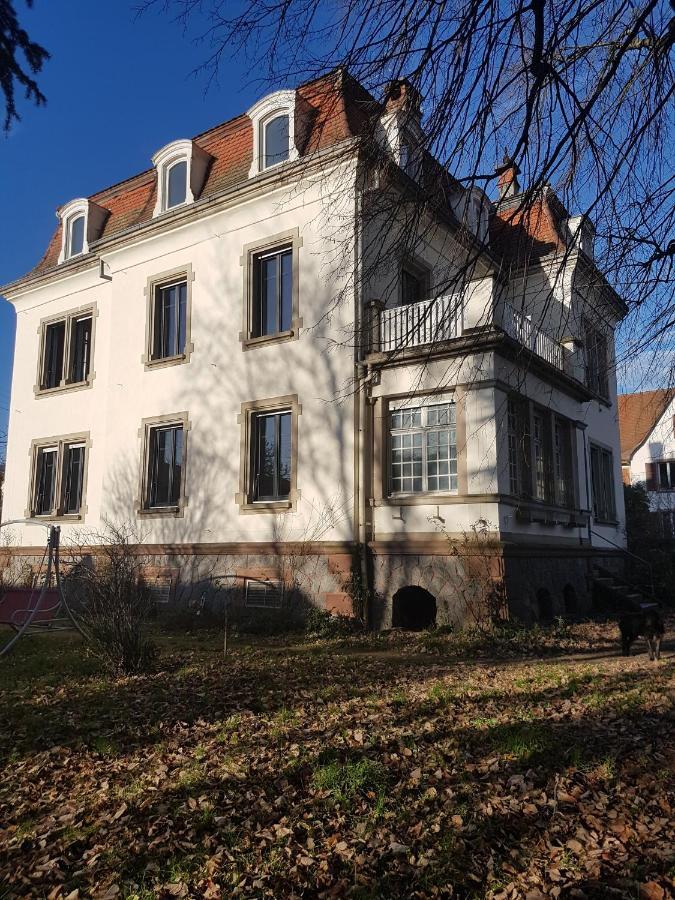 Atelier Art Decho Apartment Munster  Bagian luar foto